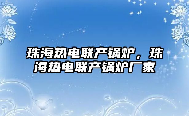 珠海熱電聯(lián)產(chǎn)鍋爐，珠海熱電聯(lián)產(chǎn)鍋爐廠家