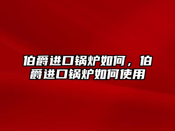 伯爵進口鍋爐如何，伯爵進口鍋爐如何使用