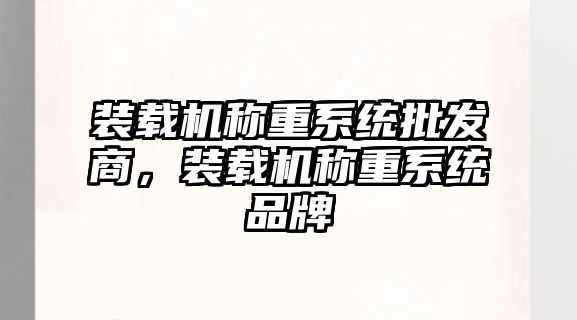 裝載機稱重系統(tǒng)批發(fā)商，裝載機稱重系統(tǒng)品牌