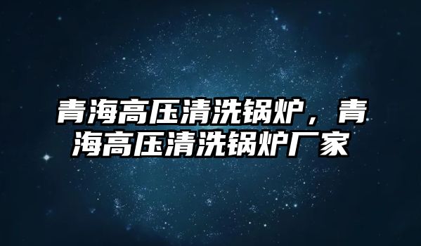 青海高壓清洗鍋爐，青海高壓清洗鍋爐廠家