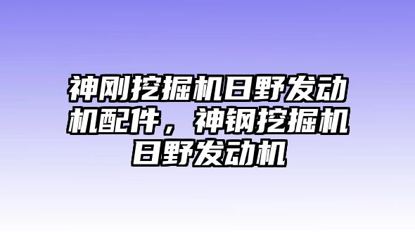 神剛挖掘機日野發(fā)動機配件，神鋼挖掘機日野發(fā)動機