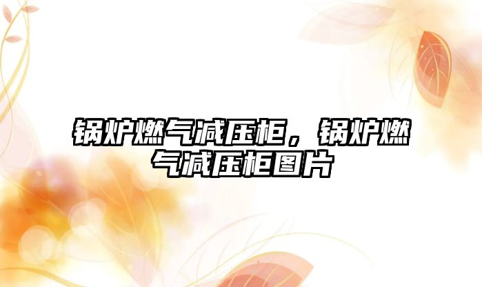 鍋爐燃?xì)鉁p壓柜，鍋爐燃?xì)鉁p壓柜圖片