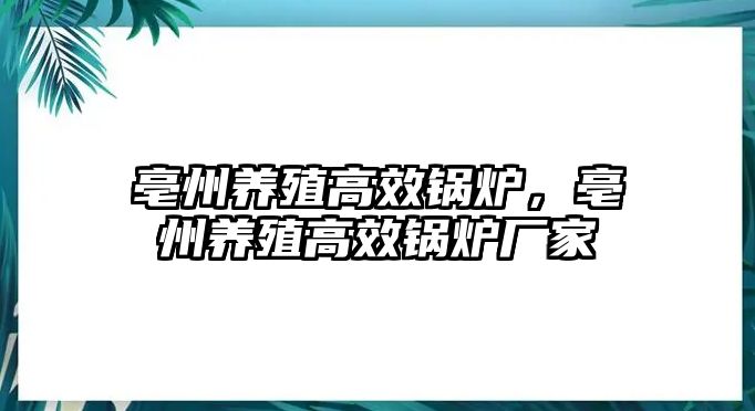 亳州養(yǎng)殖高效鍋爐，亳州養(yǎng)殖高效鍋爐廠家