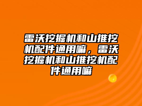 雷沃挖掘機和山推挖機配件通用嘛，雷沃挖掘機和山推挖機配件通用嘛