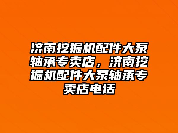 濟南挖掘機配件大泵軸承專賣店，濟南挖掘機配件大泵軸承專賣店電話