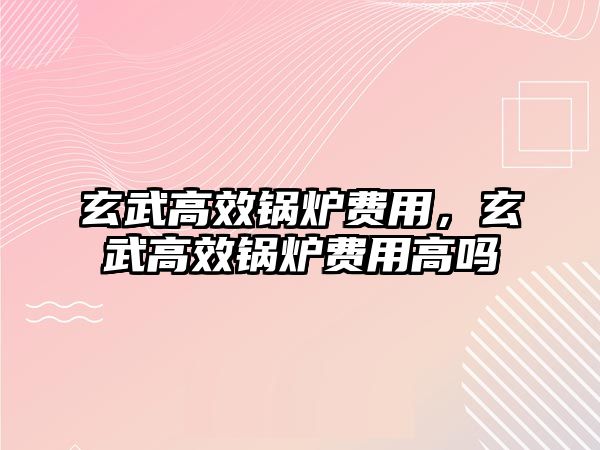 玄武高效鍋爐費用，玄武高效鍋爐費用高嗎