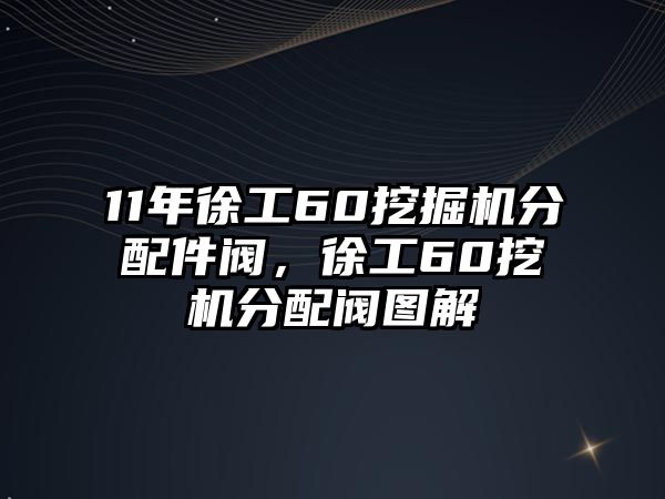 11年徐工60挖掘機(jī)分配件閥，徐工60挖機(jī)分配閥圖解