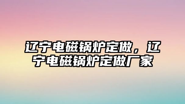 遼寧電磁鍋爐定做，遼寧電磁鍋爐定做廠家