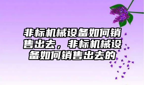 非標機械設(shè)備如何銷售出去，非標機械設(shè)備如何銷售出去的