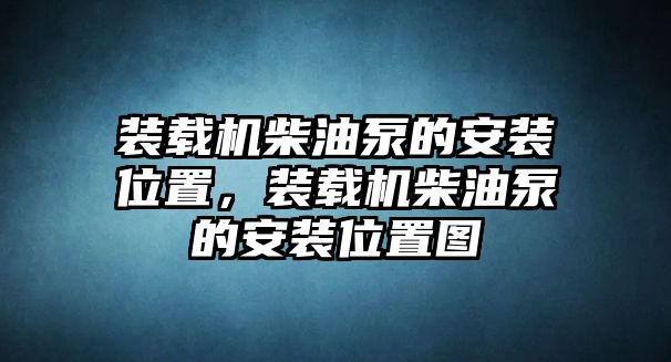 裝載機柴油泵的安裝位置，裝載機柴油泵的安裝位置圖