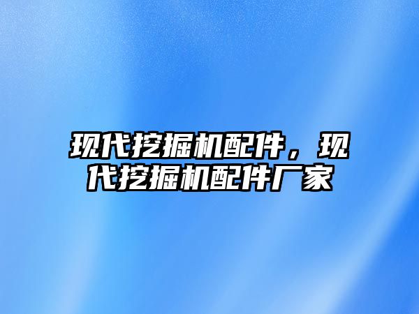 現(xiàn)代挖掘機配件，現(xiàn)代挖掘機配件廠家