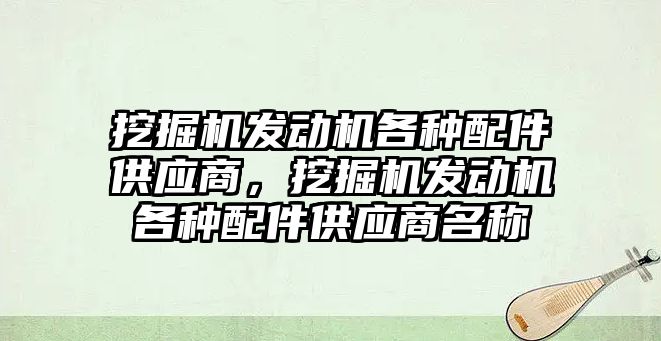 挖掘機發(fā)動機各種配件供應商，挖掘機發(fā)動機各種配件供應商名稱