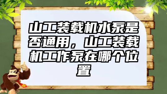 山工裝載機水泵是否通用，山工裝載機工作泵在哪個位置