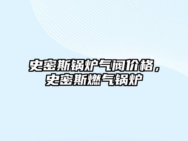 史密斯鍋爐氣閥價(jià)格，史密斯燃?xì)忮仩t