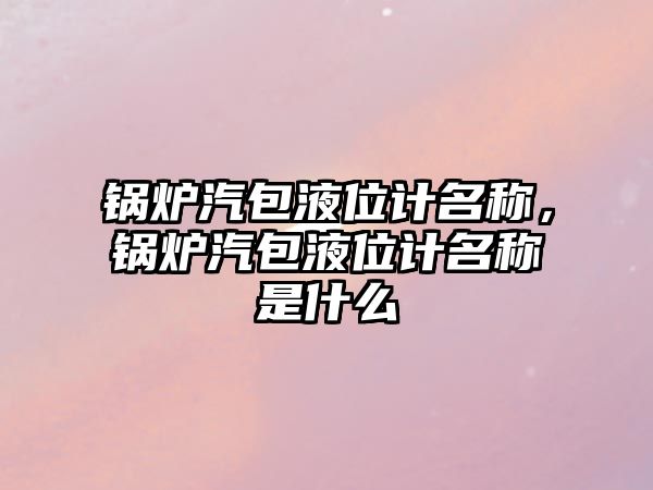 鍋爐汽包液位計(jì)名稱，鍋爐汽包液位計(jì)名稱是什么