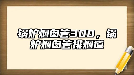 鍋爐煙囪管300，鍋爐煙囪管排煙道