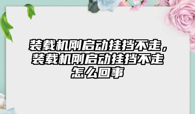 裝載機(jī)剛啟動掛擋不走，裝載機(jī)剛啟動掛擋不走怎么回事