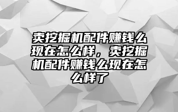 賣挖掘機配件賺錢么現(xiàn)在怎么樣，賣挖掘機配件賺錢么現(xiàn)在怎么樣了