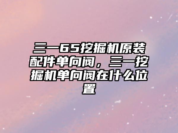 三一65挖掘機原裝配件單向閥，三一挖掘機單向閥在什么位置