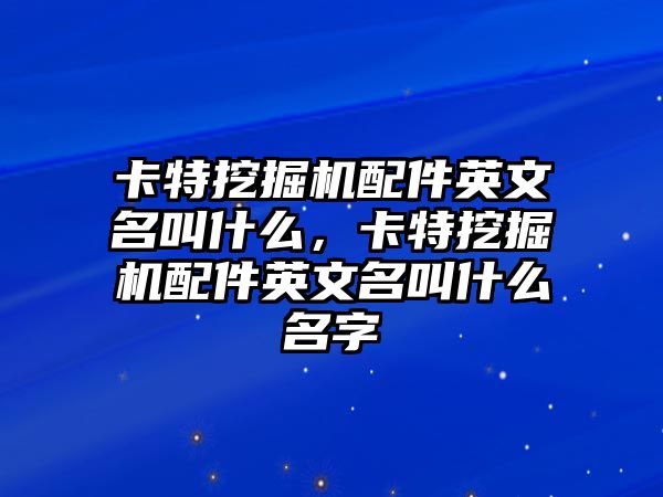 卡特挖掘機配件英文名叫什么，卡特挖掘機配件英文名叫什么名字