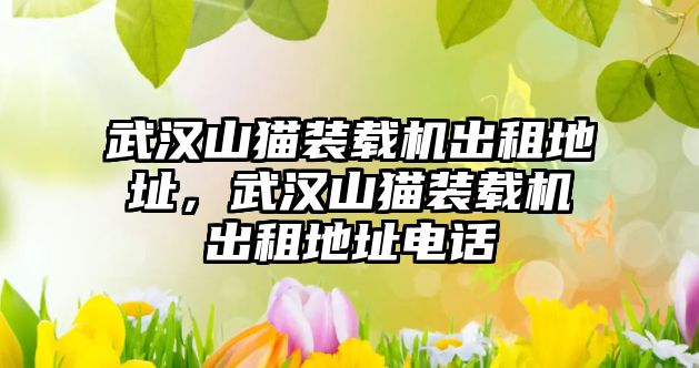 武漢山貓裝載機(jī)出租地址，武漢山貓裝載機(jī)出租地址電話