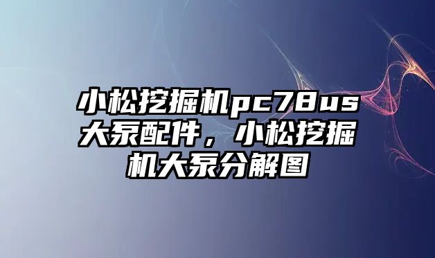 小松挖掘機(jī)pc78us大泵配件，小松挖掘機(jī)大泵分解圖