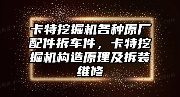 卡特挖掘機(jī)各種原廠配件拆車件，卡特挖掘機(jī)構(gòu)造原理及拆裝維修