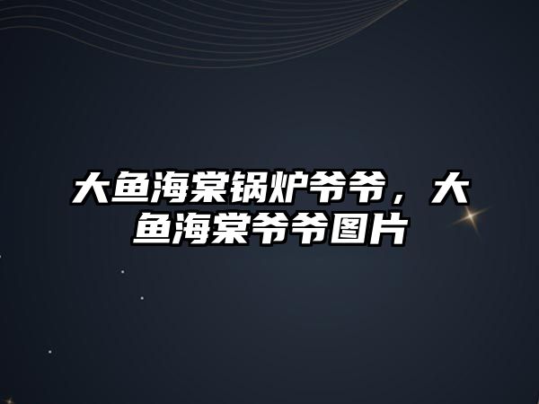 大魚海棠鍋爐爺爺，大魚海棠爺爺圖片