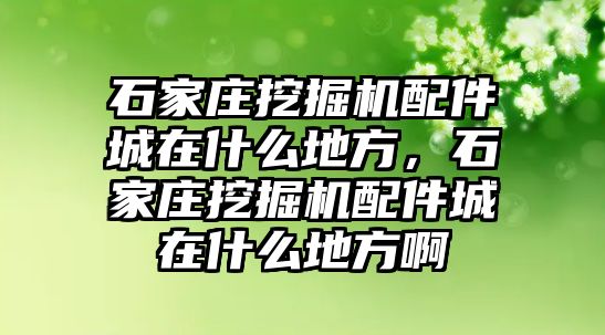 石家莊挖掘機配件城在什么地方，石家莊挖掘機配件城在什么地方啊