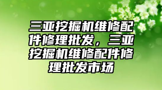 三亞挖掘機維修配件修理批發(fā)，三亞挖掘機維修配件修理批發(fā)市場