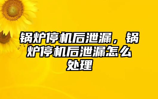 鍋爐停機后泄漏，鍋爐停機后泄漏怎么處理