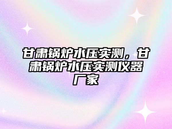 甘肅鍋爐水壓實測，甘肅鍋爐水壓實測儀器廠家