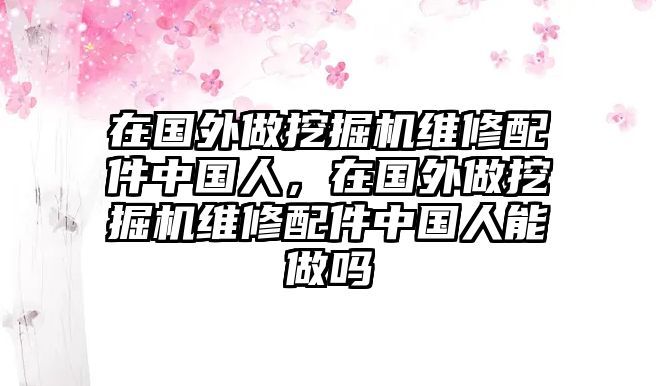 在國外做挖掘機(jī)維修配件中國人，在國外做挖掘機(jī)維修配件中國人能做嗎