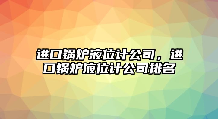 進(jìn)口鍋爐液位計公司，進(jìn)口鍋爐液位計公司排名