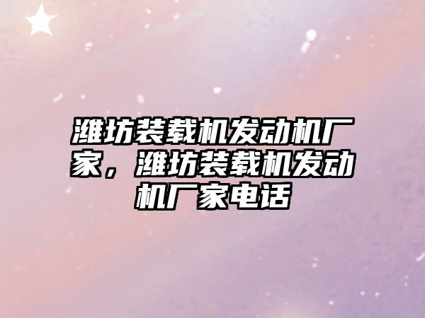 濰坊裝載機發(fā)動機廠家，濰坊裝載機發(fā)動機廠家電話