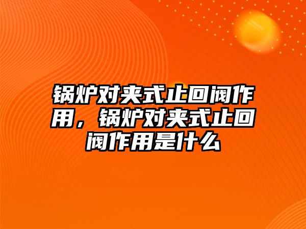 鍋爐對夾式止回閥作用，鍋爐對夾式止回閥作用是什么