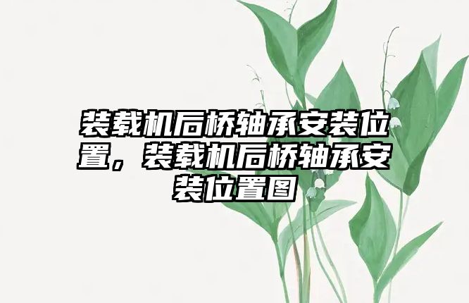 裝載機(jī)后橋軸承安裝位置，裝載機(jī)后橋軸承安裝位置圖