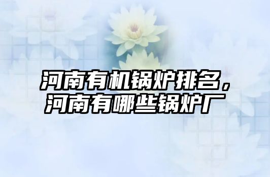 河南有機鍋爐排名，河南有哪些鍋爐廠