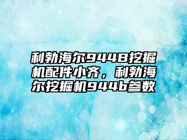 利勃海爾944B挖掘機(jī)配件小齊，利勃海爾挖掘機(jī)944b參數(shù)