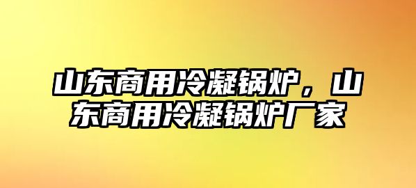 山東商用冷凝鍋爐，山東商用冷凝鍋爐廠家