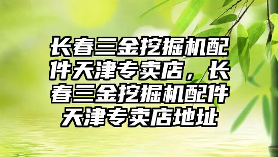 長春三金挖掘機配件天津?qū)Ｙu店，長春三金挖掘機配件天津?qū)Ｙu店地址