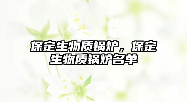 保定生物質(zhì)鍋爐，保定生物質(zhì)鍋爐名單