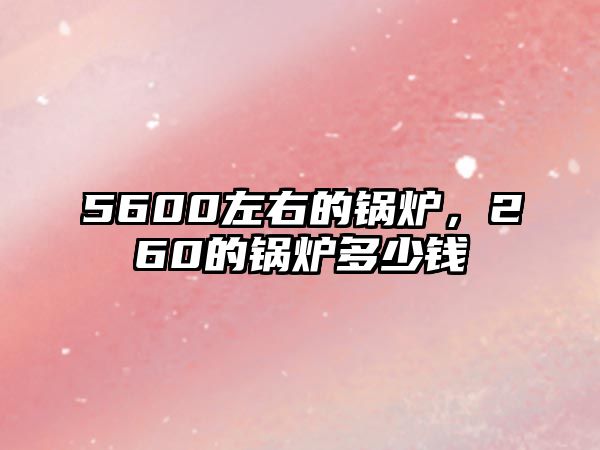 5600左右的鍋爐，260的鍋爐多少錢