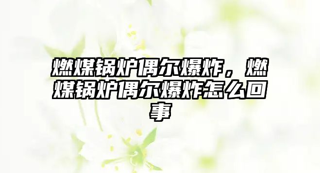 燃煤鍋爐偶爾爆炸，燃煤鍋爐偶爾爆炸怎么回事