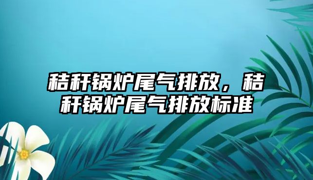 秸稈鍋爐尾氣排放，秸稈鍋爐尾氣排放標(biāo)準(zhǔn)