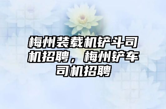 梅州裝載機鏟斗司機招聘，梅州鏟車司機招聘