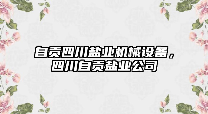 自貢四川鹽業(yè)機(jī)械設(shè)備，四川自貢鹽業(yè)公司