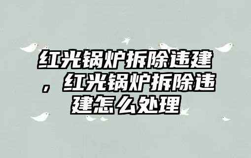 紅光鍋爐拆除違建，紅光鍋爐拆除違建怎么處理