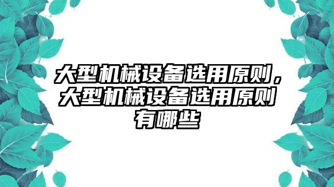 大型機械設備選用原則，大型機械設備選用原則有哪些