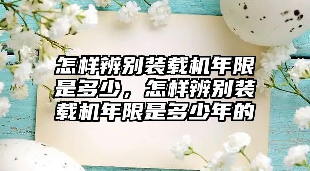 怎樣辨別裝載機(jī)年限是多少，怎樣辨別裝載機(jī)年限是多少年的